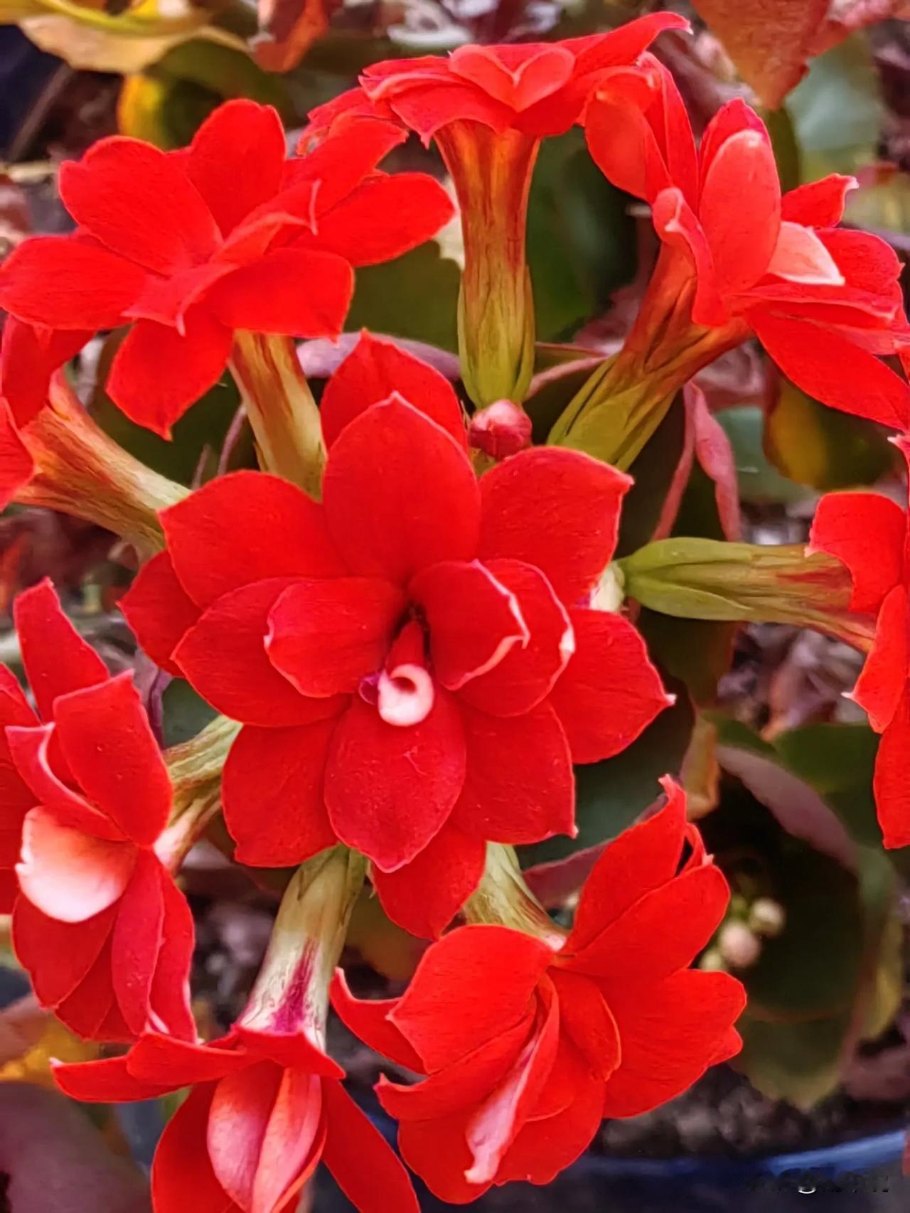 2026年的我，有个超实在的愿望
 
2026年的我，别总忙着赶稿、追热点，把沧