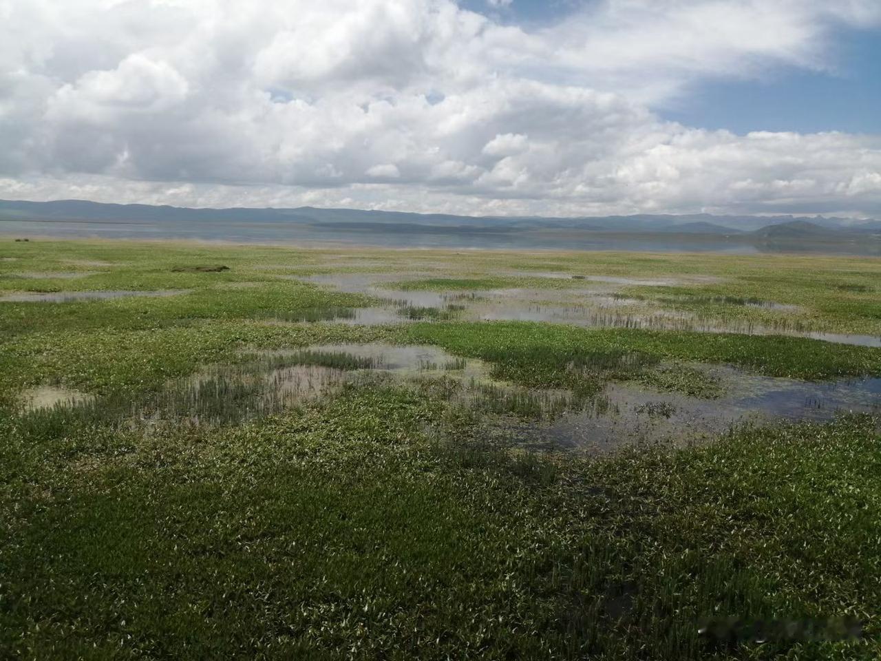 当信任丧失时，人与人的关系就到头了

没有一直挺你的人，他人所有的好与不好，只是