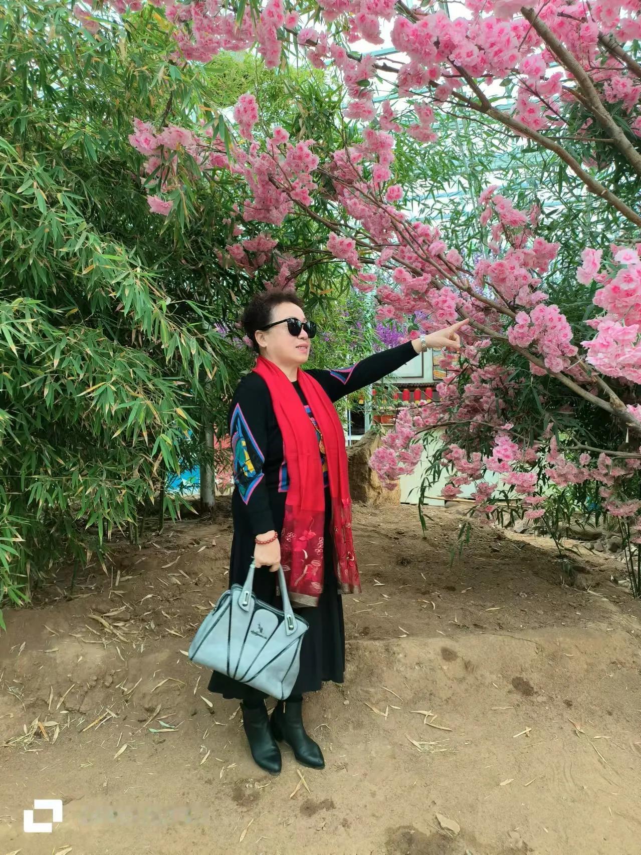 你这十点说的很全面，平民百姓就过好自己的小日子，一切顺其自然。怎么开心怎么活，拍