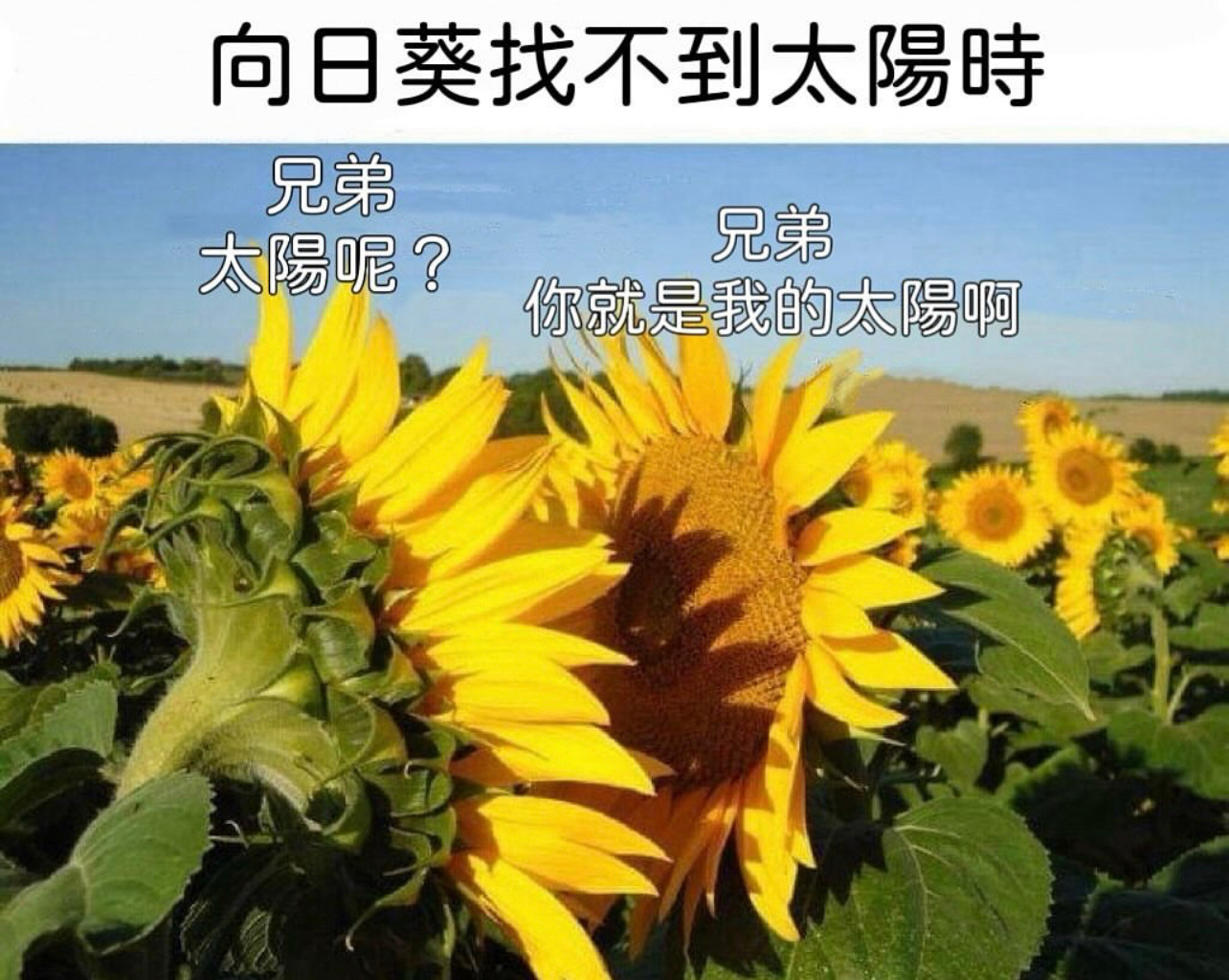 兄弟，你好香#今日memes# //#春日cityhappy计划# ​​​