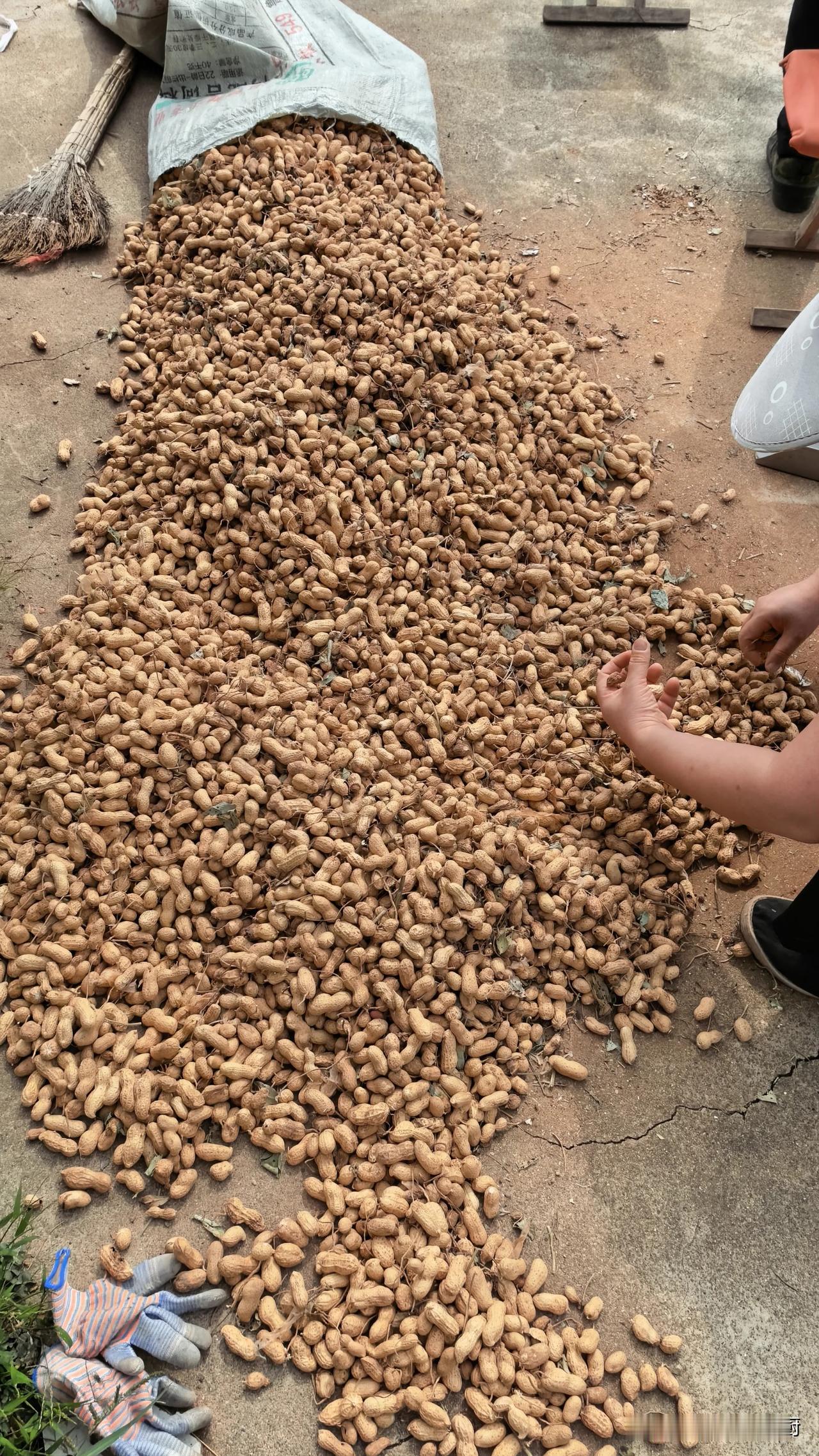 帮我点评


忙活了十多天，小店终于做好了，手续齐全，合理合法，今天开业了，是儿