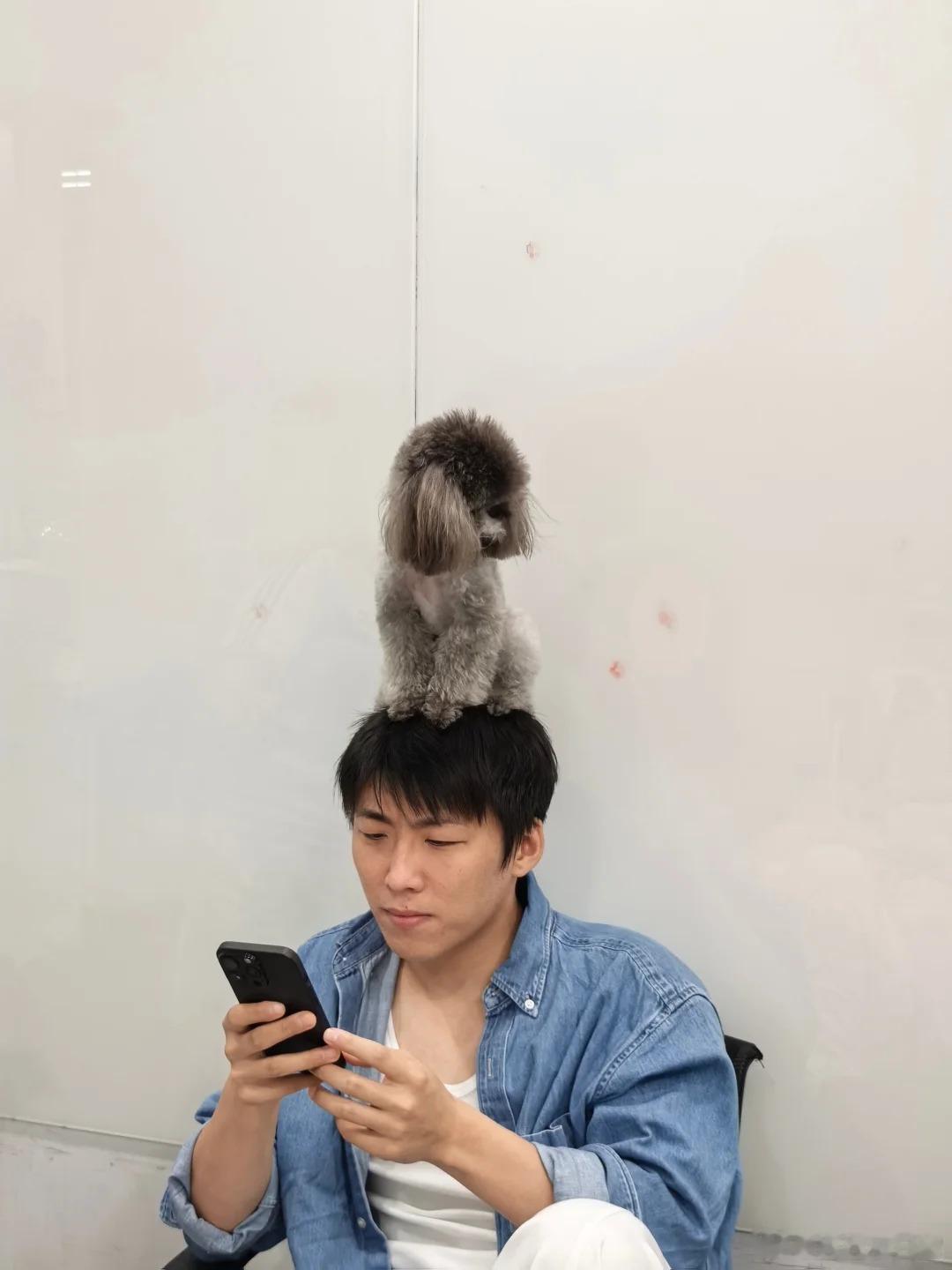 王天放 脑袋大到可以停一只狗喜人奇妙夜 王天放真的是“硬汉+暖男”的完美结合！脑