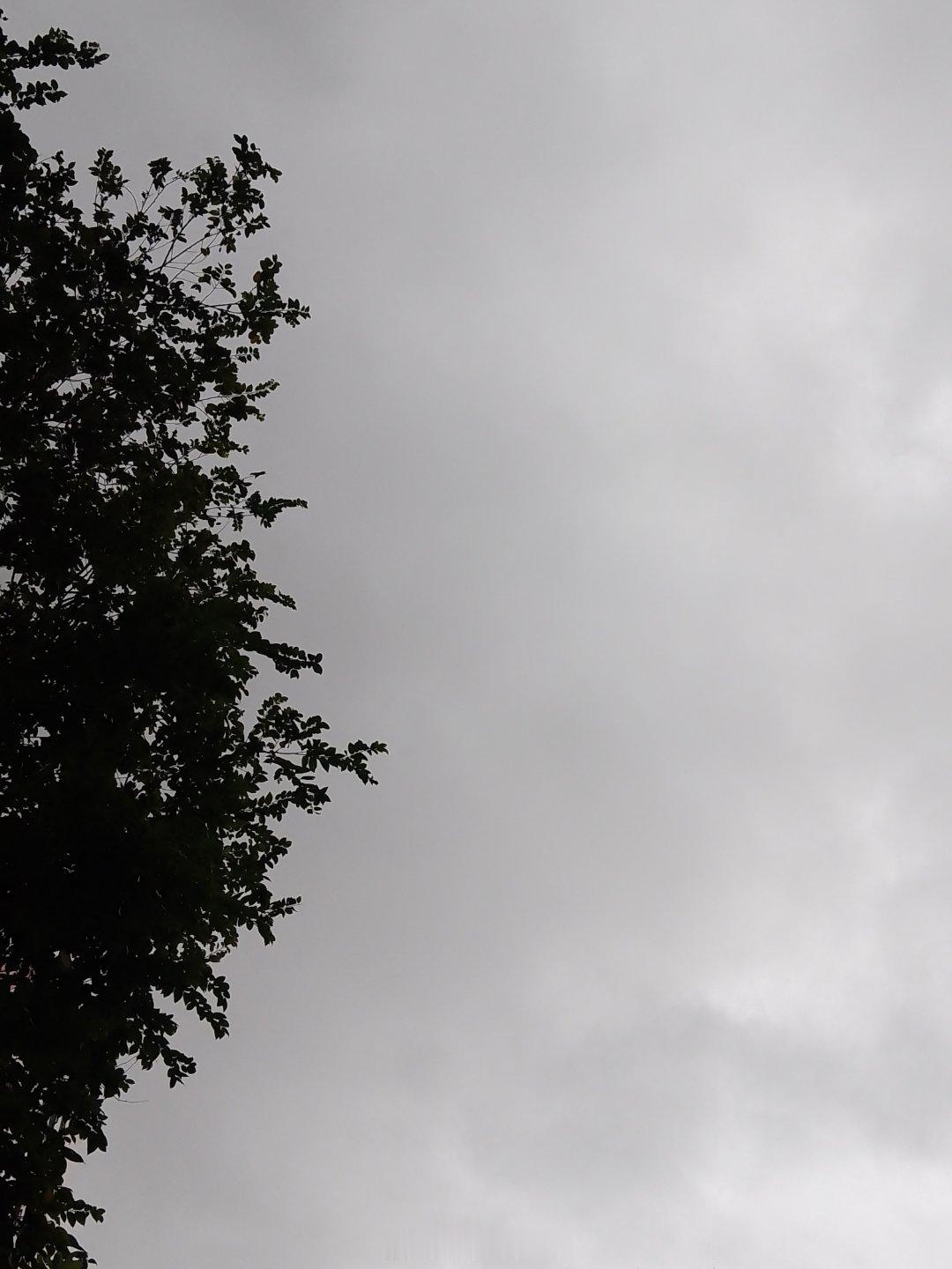 大A行情轮动和这天气一样，变脸真快，一瞬间雨就飘来了🌧 