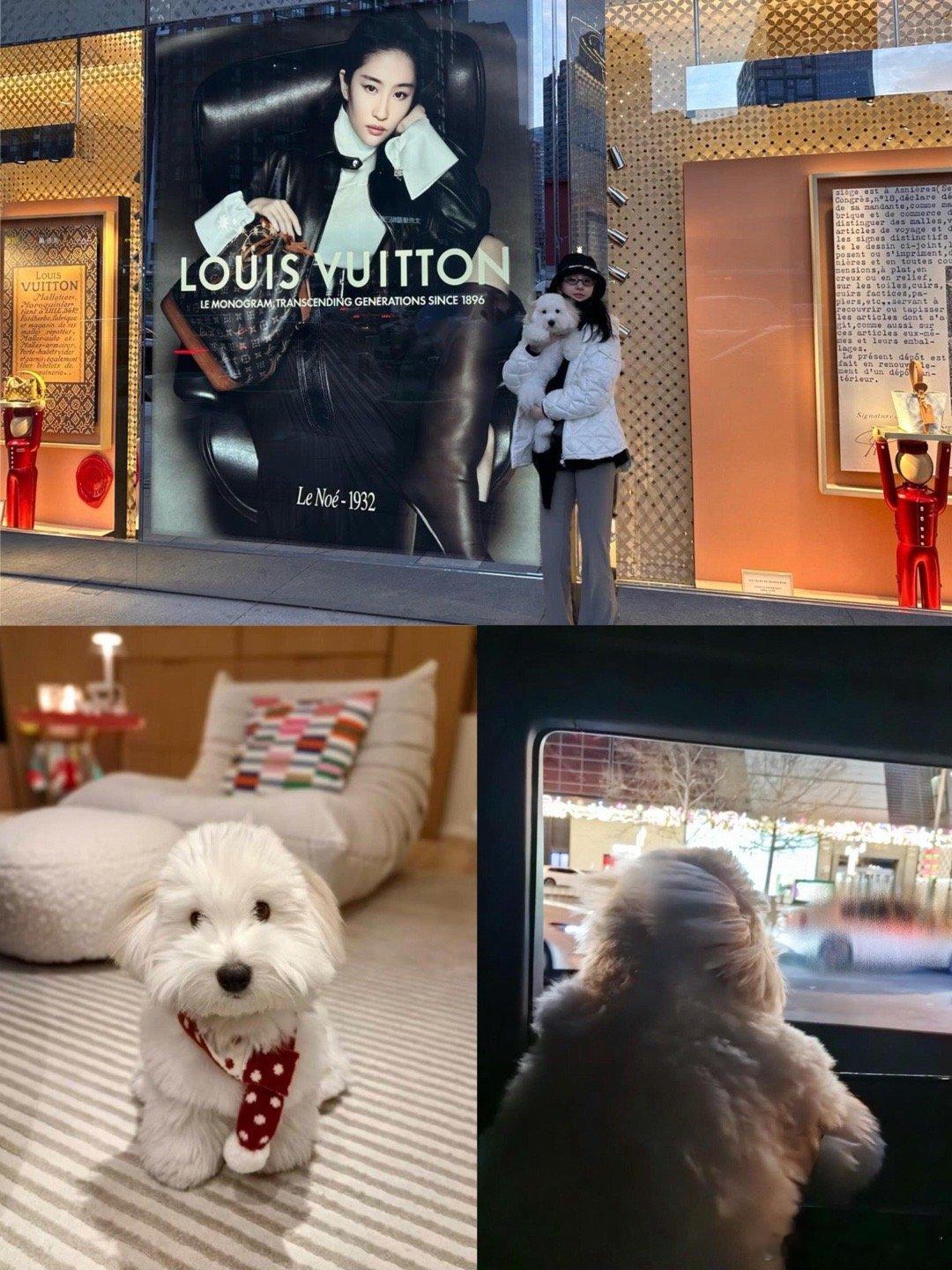 刘亦菲ig更新，含🐶量极高