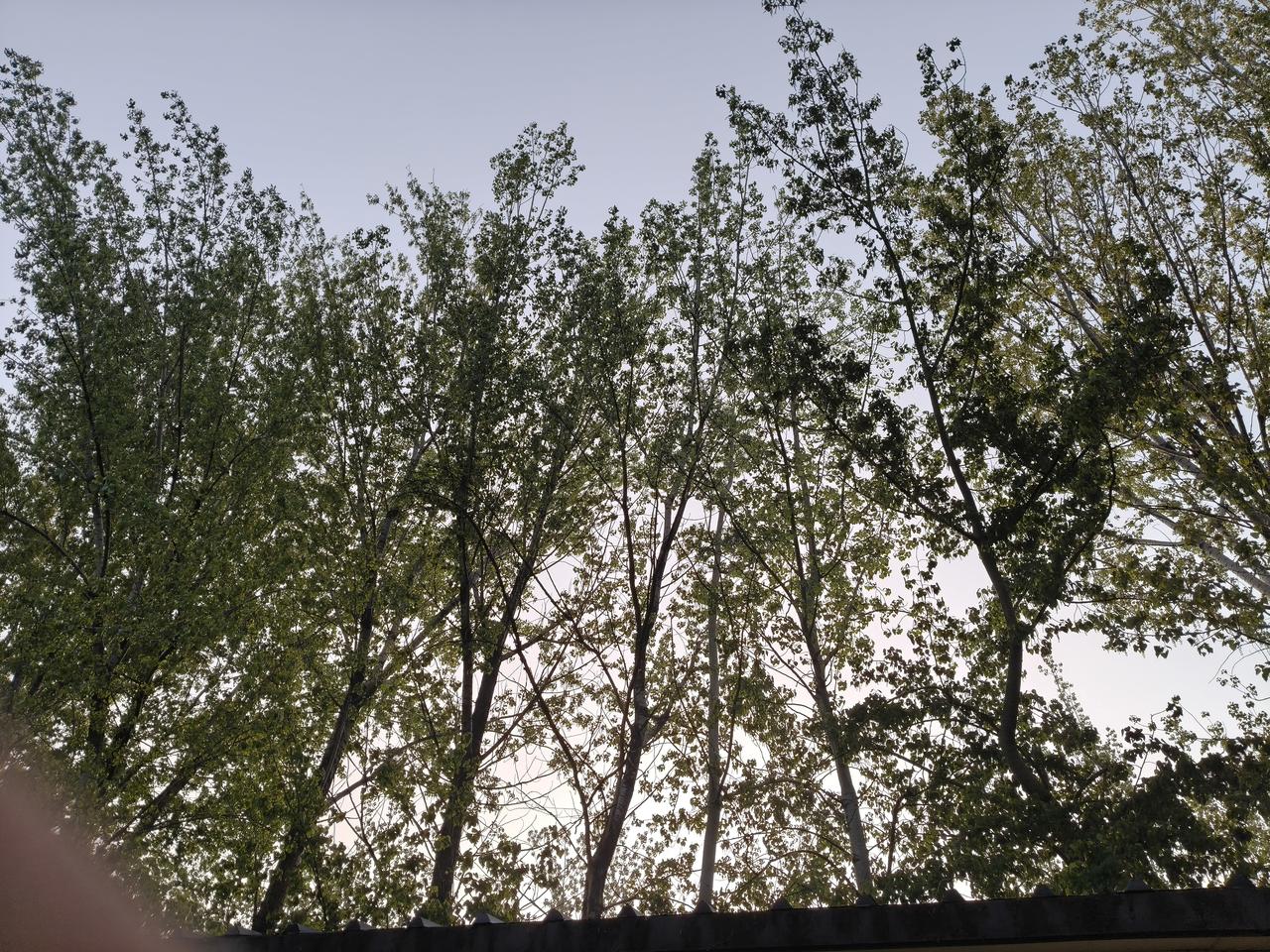 随手拍一张天空照昨天天津下了一夜的雨，这场雨下的时间特别长，中午又是打雷又是下冰