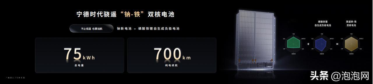 宁德时代发布了三种跨化学体系的双核解决方案：

钠-铁双核电池：钠新电池+磷酸铁