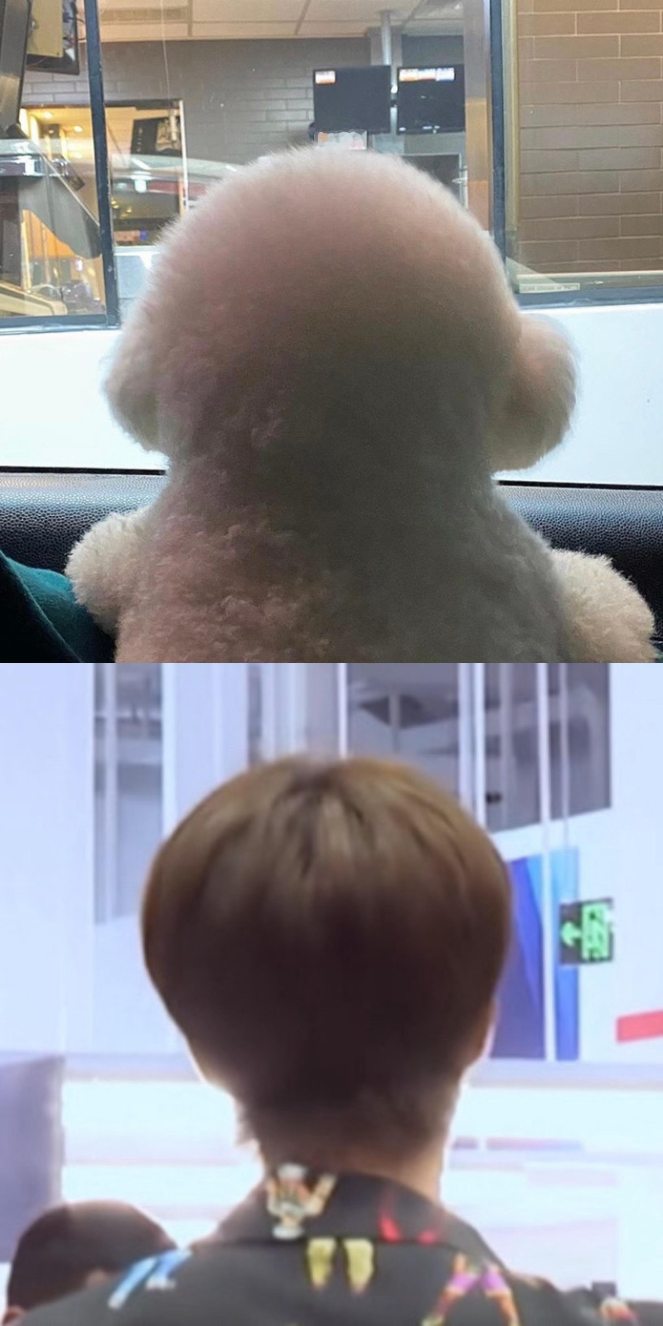 王一博 可爱晕 