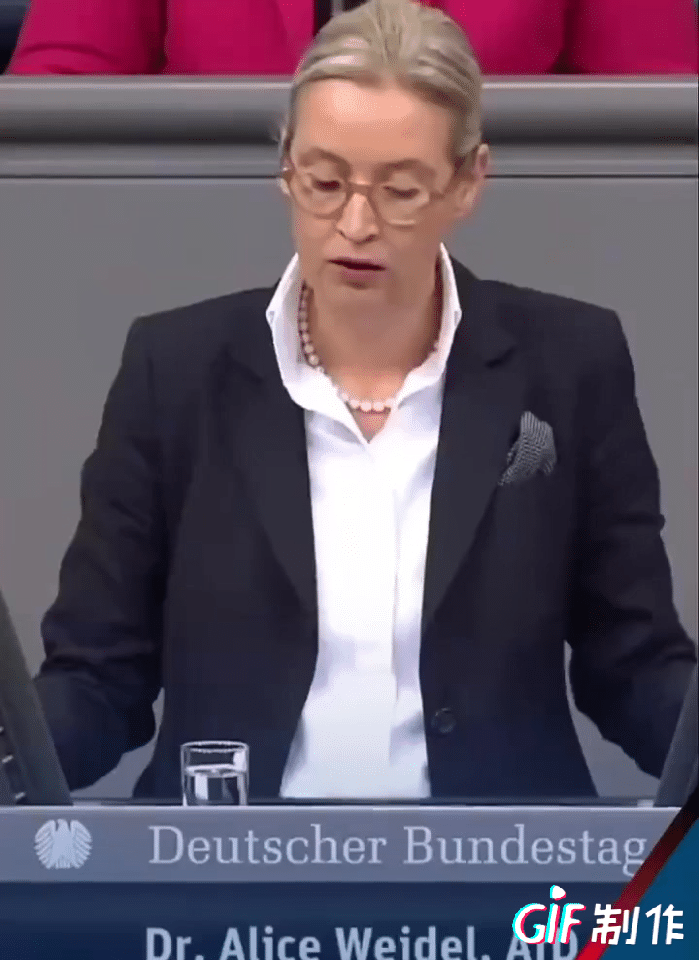 魏德尔批评德国现政府，美国让德国支持乌克兰德国就不遗余力的支持。

魏德尔说这样