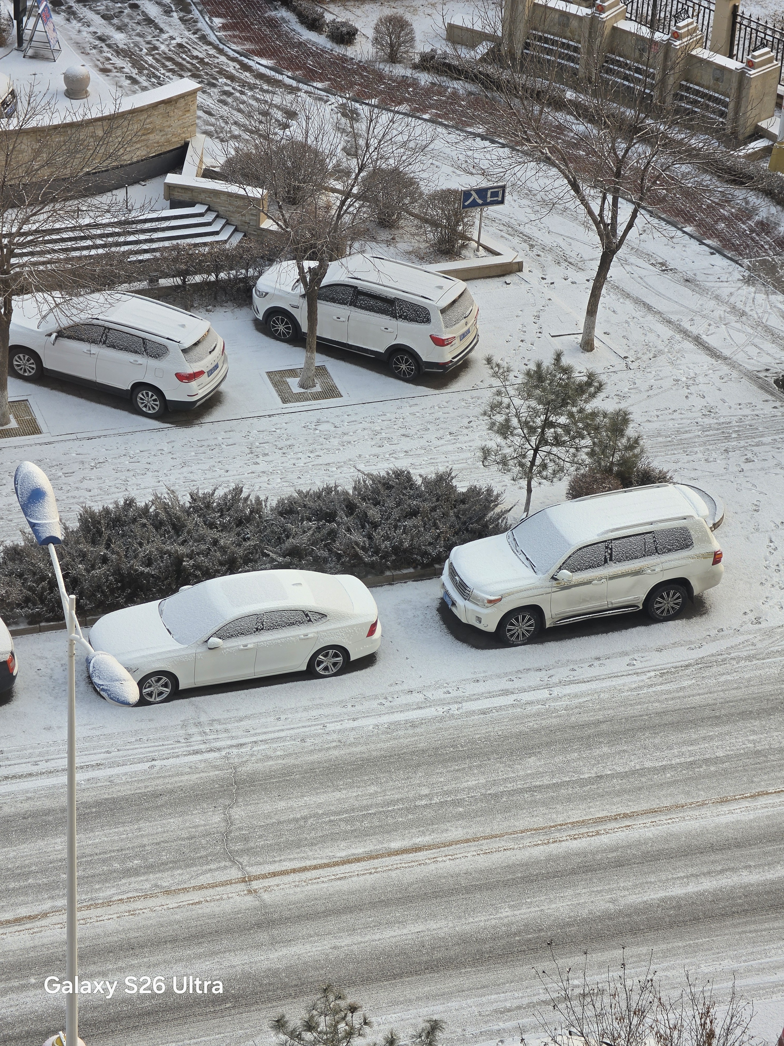 一觉醒来又下雪了。 