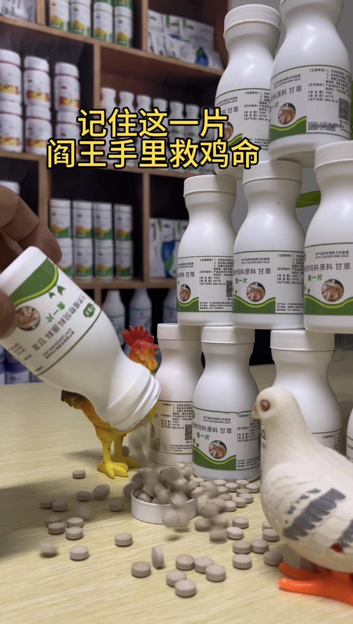都喂这一片，四季没烦恼