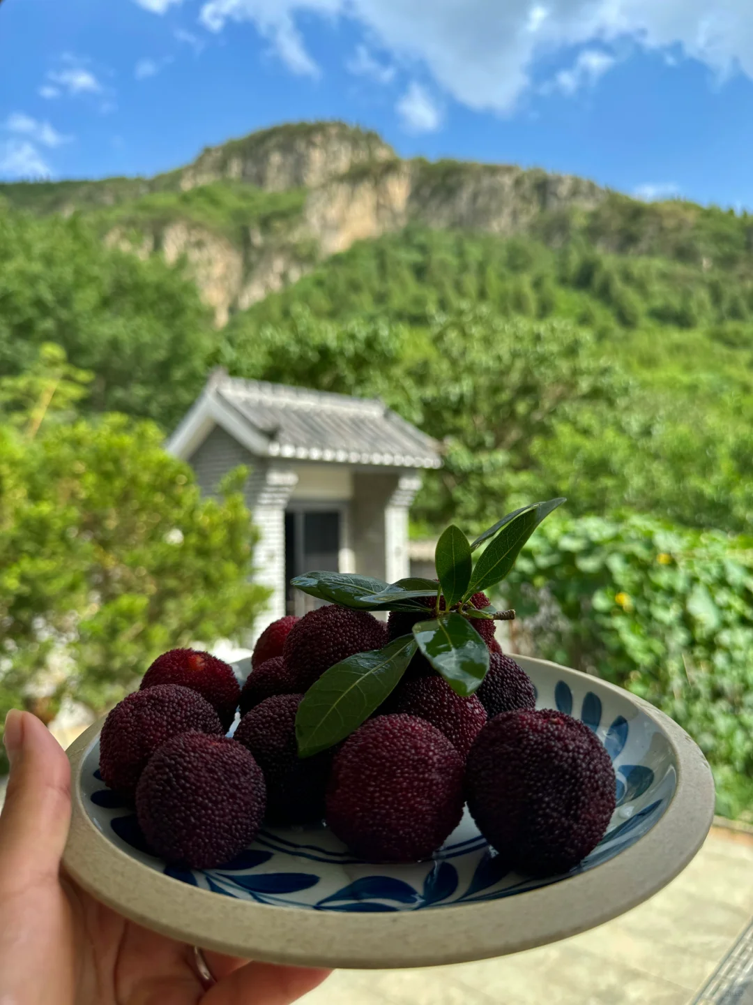 我在过一种很养人的古人生活（三伏养生篇）