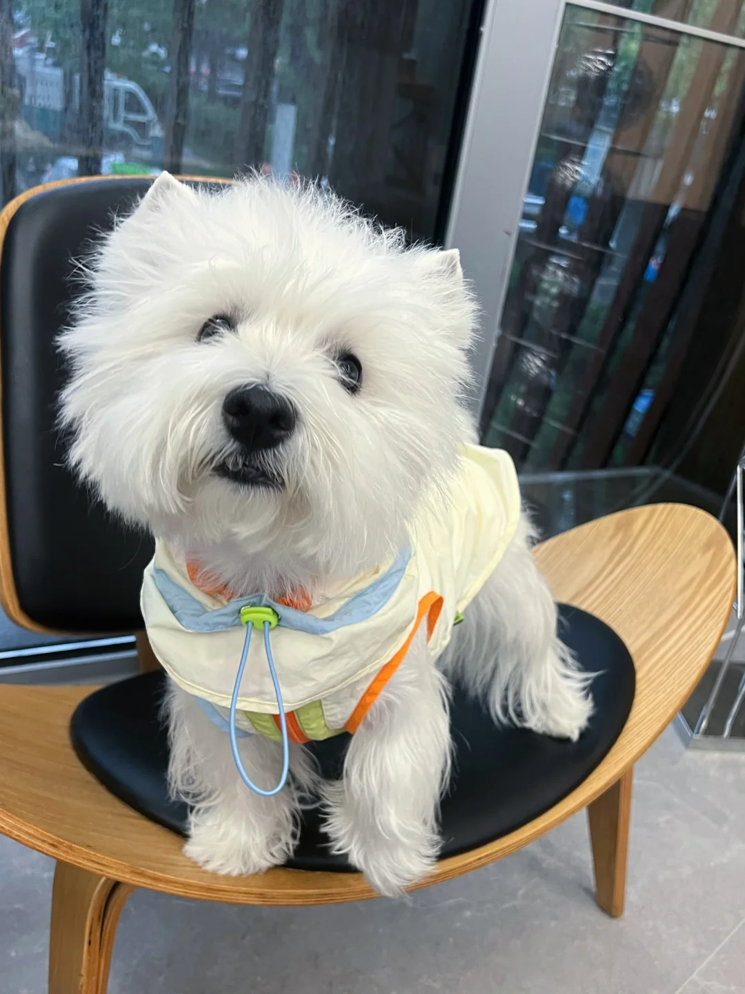 霍霍！新冲锋衣尊嘟好看