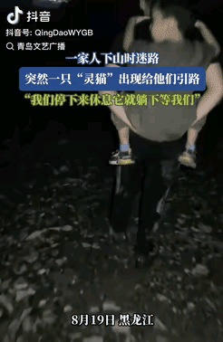 “灵猫”引路？
黑龙江下午四点的时候，一家三口心血来潮想去登山，简单做了下攻略，