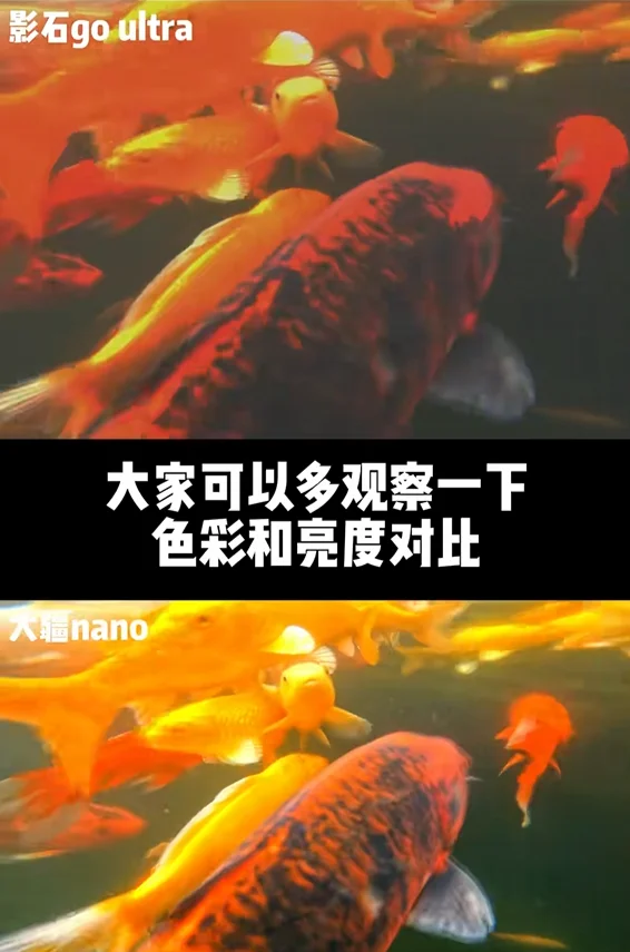 DJIosmo Nano🆚insta Go Ultra 水下摄影