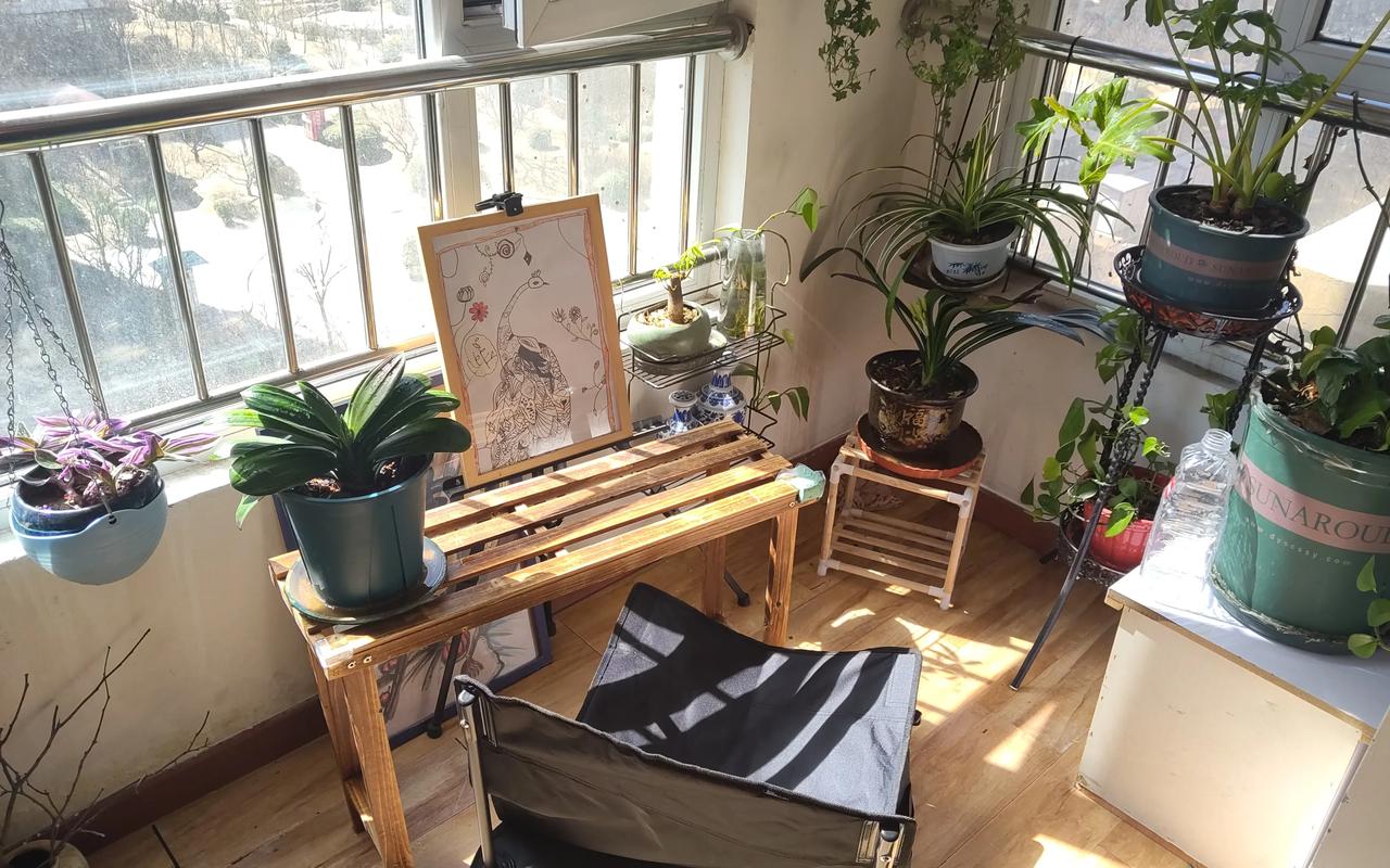 清晨的花园，等待12点的灯光，12点的灯光，不过是一颗晨星。而我只愿面朝着南向的