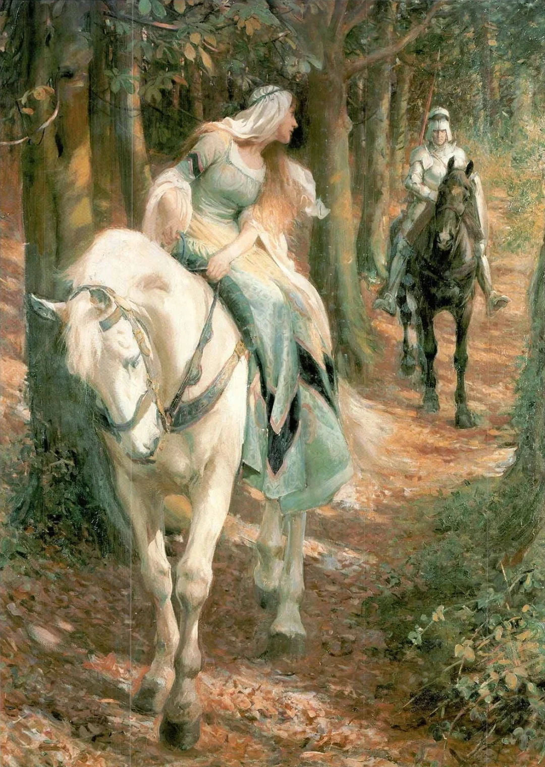 🕊️ ₊⁺ 𓆩 ♡ 𓆪