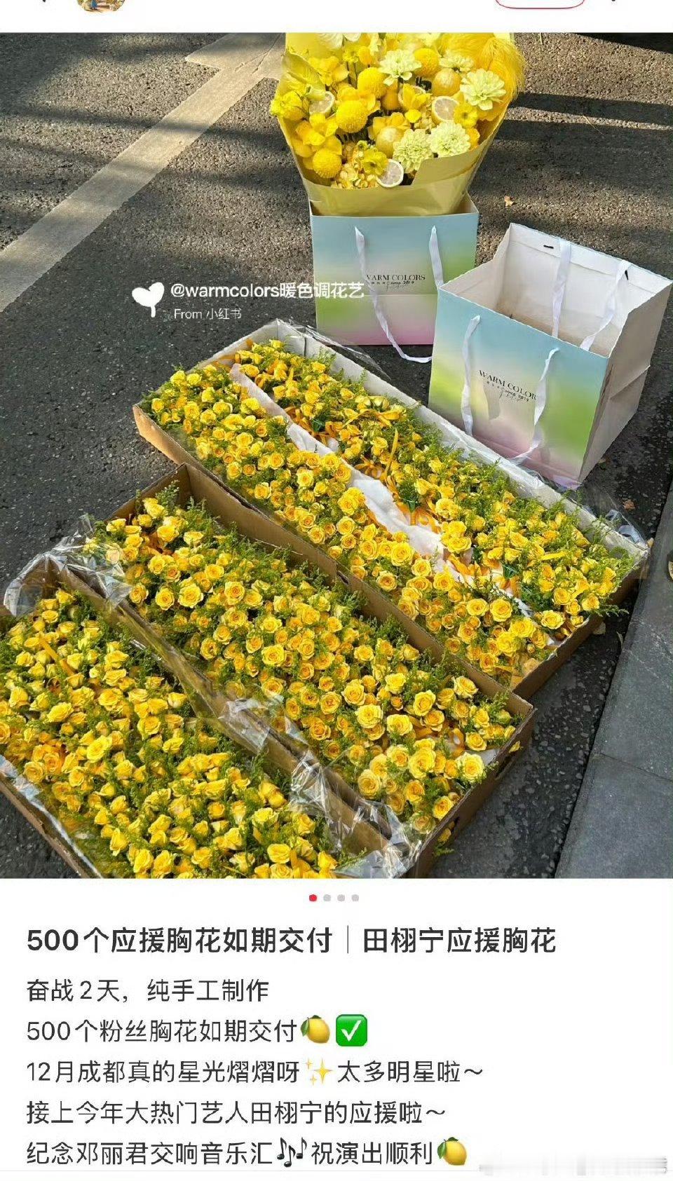 田栩宁粉丝好用心，好漂亮的应援胸花 