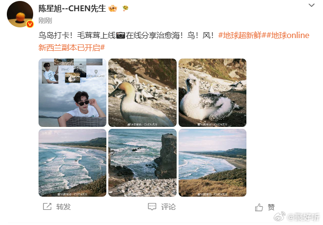 陈星旭毛茸茸认证 是鸟岛打卡的毛茸茸呀，陈星旭在线分享治愈海风与飞鸟，这份不加修