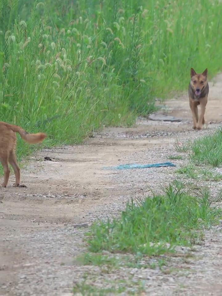 哪儿有原创。
哪儿有原创。