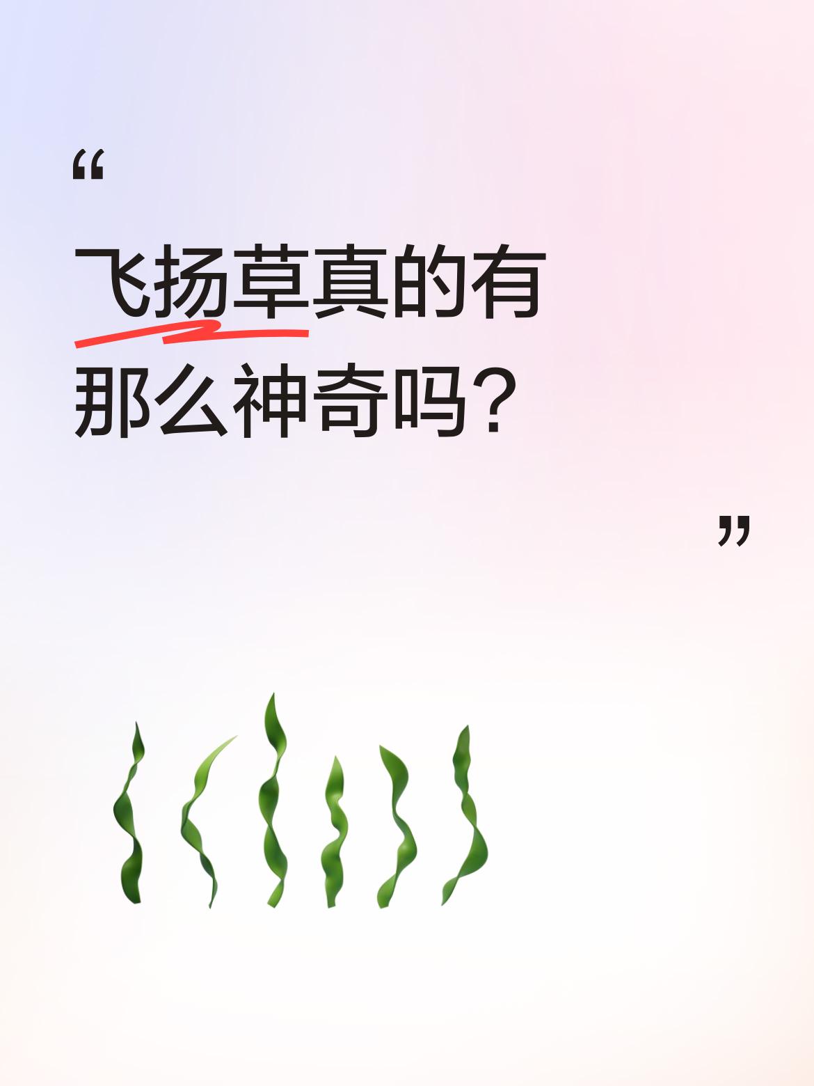 飞扬草真的有那么神奇吗?