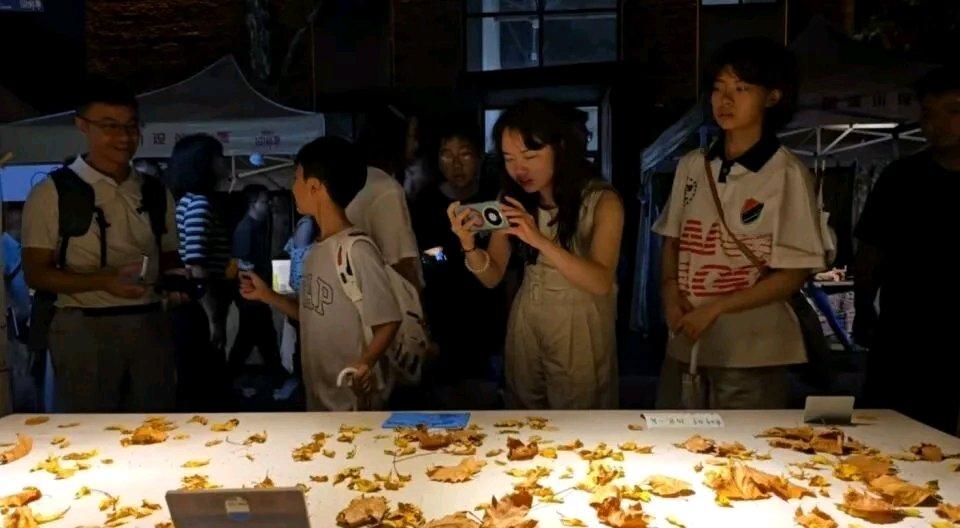 这男子在景德镇卖10元一片树叶，方式简单粗暴，就是从地上捡来树叶，标好价放桌上。