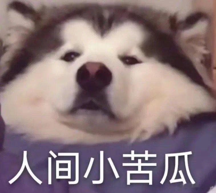 鹏说文史[超话] 正梦到令人振奋的消息，闹钟⏰响了，ok别做梦了，该搬砖了[白眼