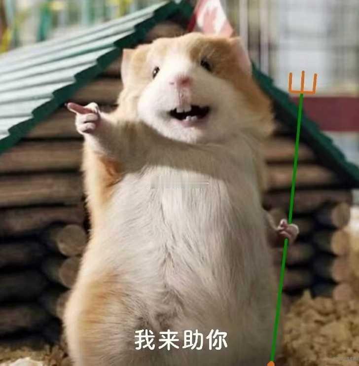 海南封关后普通人有哪些商业机会这不是明摆着的么：第一类，以前跑韩国，跑香江，跑日