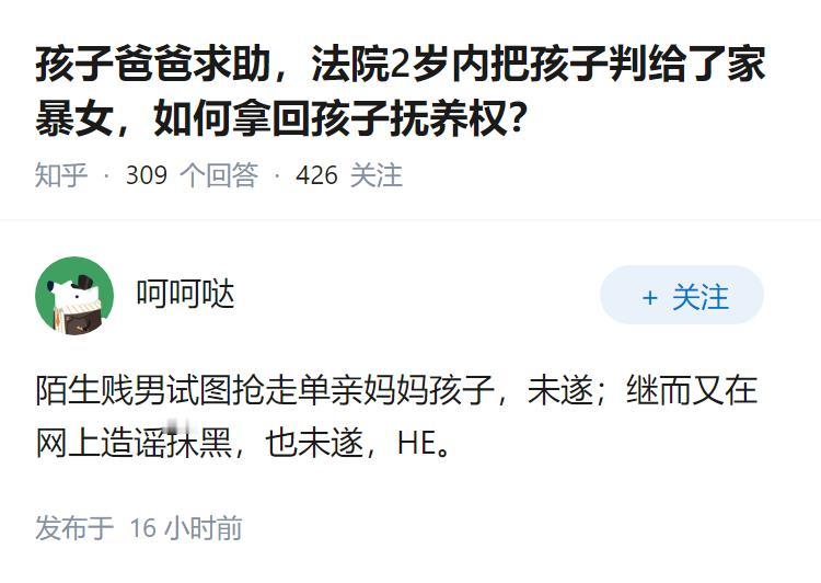 孩子爸爸求助，法院2岁内把孩子判给了家暴女，如何拿回孩子抚养权？