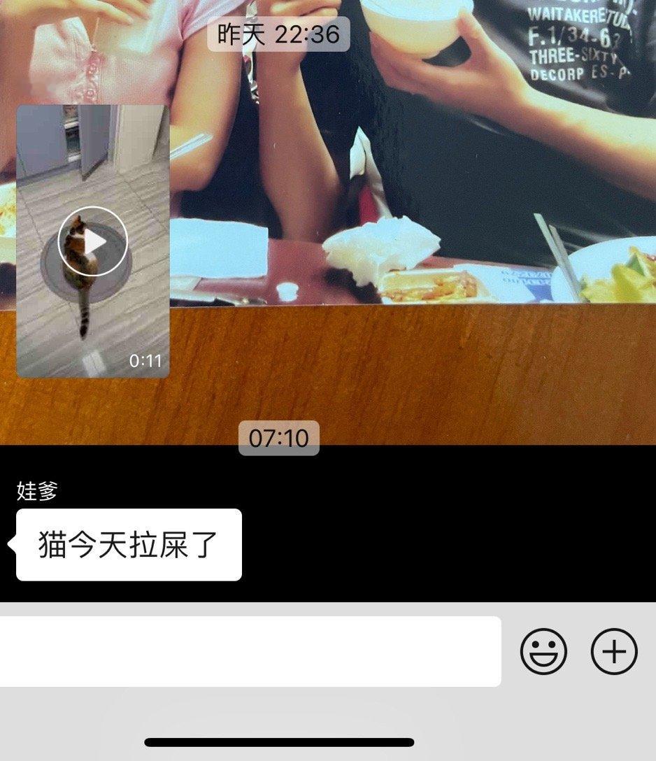 猫四天没💩，把恩爸给急的……一大早就去看猫砂盆，欢呼起来[笑cry]上次这种着