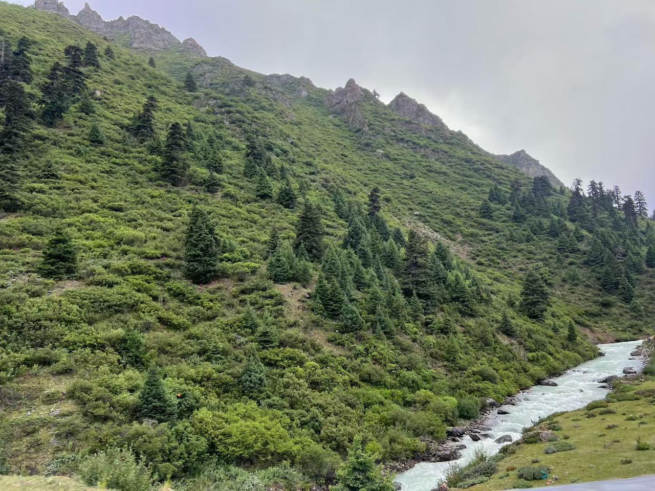 分享雪域高原美景