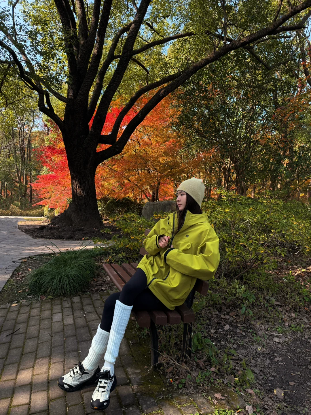 🍁到京都了，跟上海似的🍂