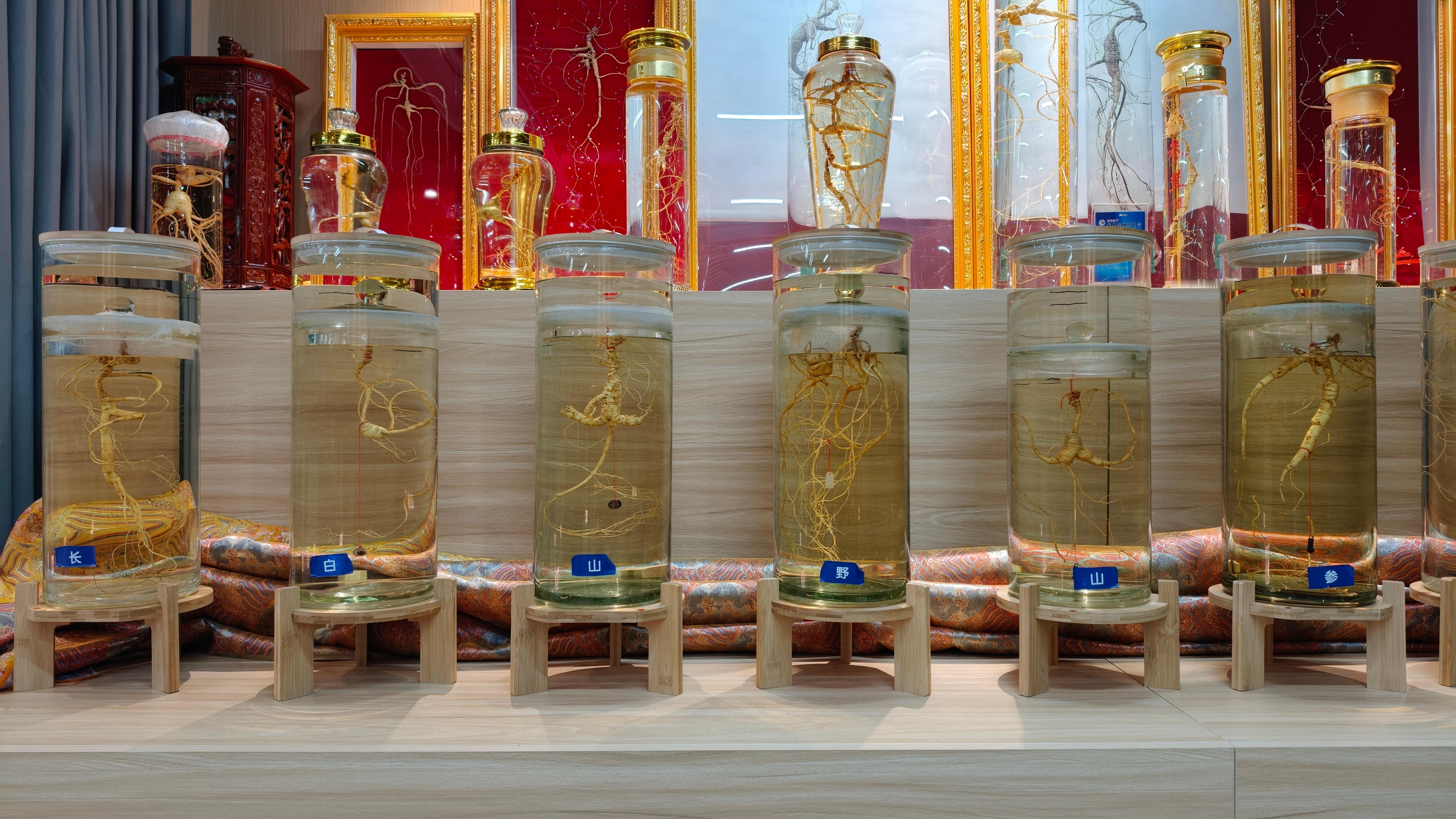 这六颗参跟字呼应上了 白山·抚松