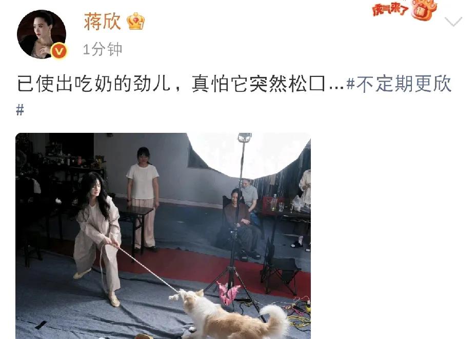 蒋欣，这太惊险了啊！

8月3日下午，蒋欣在社交平台晒出一组动态，配文写道：“已