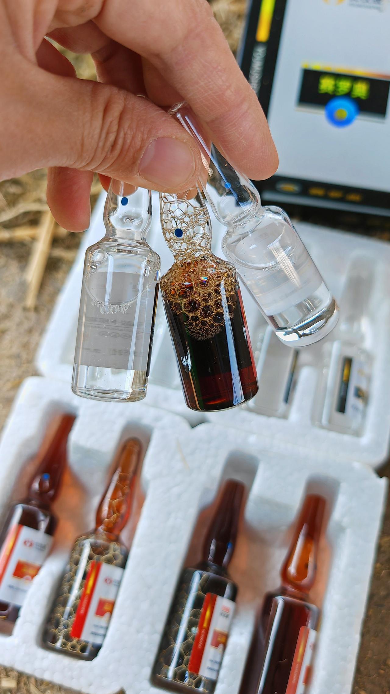 养羊人 农村养羊 牛羊养殖