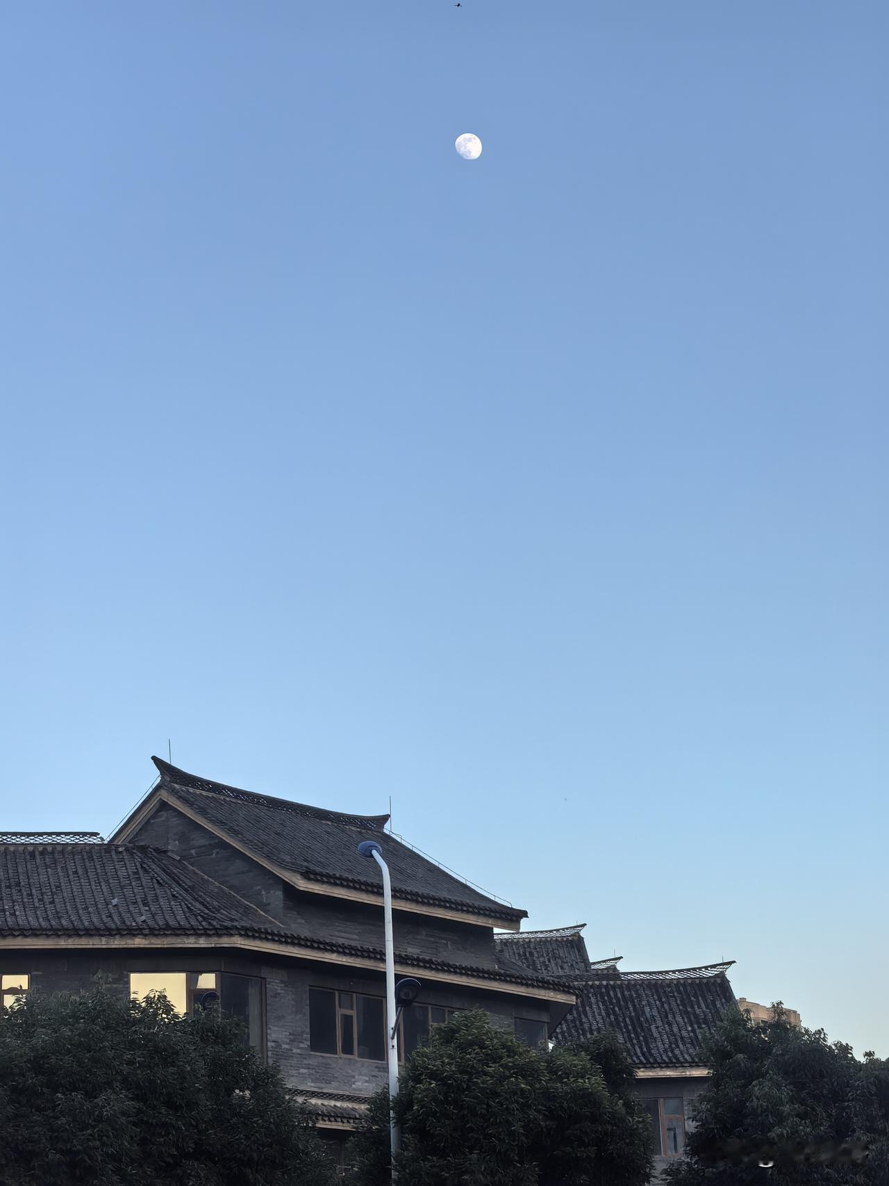 怎么样让自己保持快乐的心情想少点、想开点、没心没肺、是事不关己就能保持快乐！