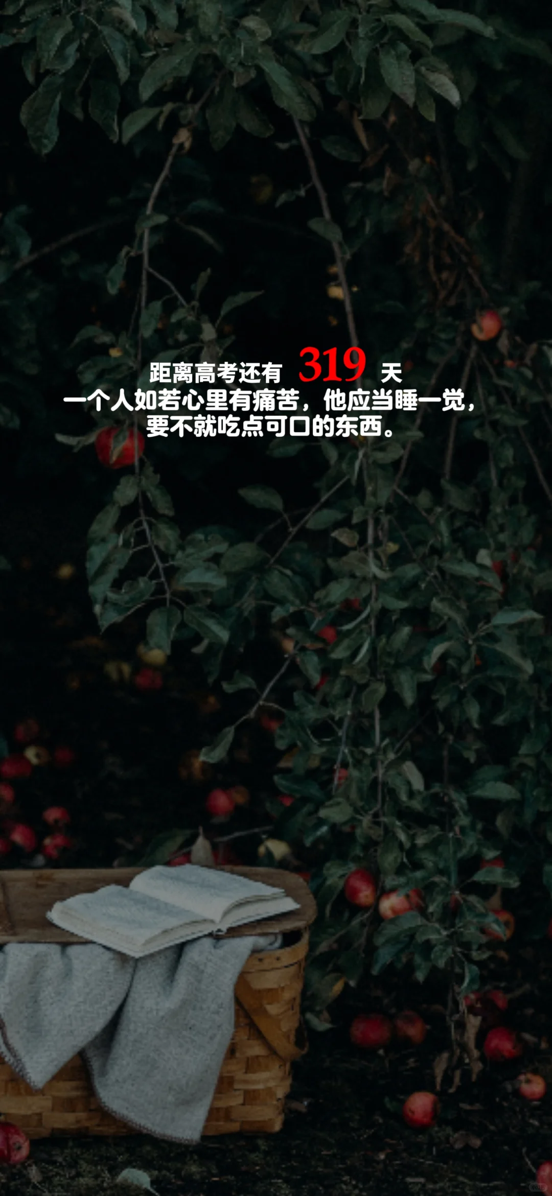 2025高考倒计时，每日更新。
