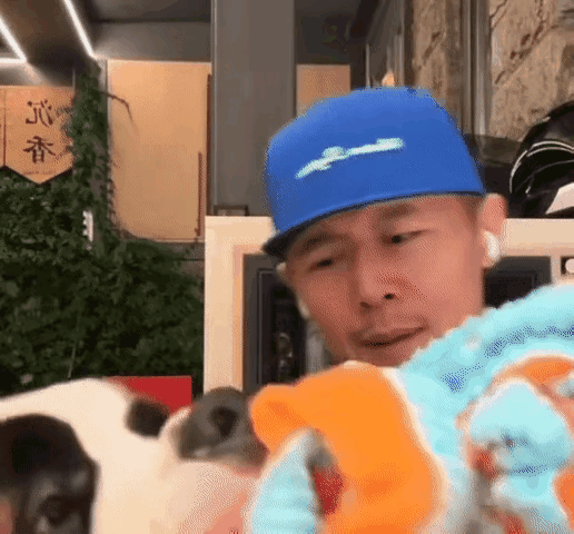 大冰的狗原来是圣伯纳 在直播间直播的时候，大冰老师“咻”的一下，不见了，原来是被