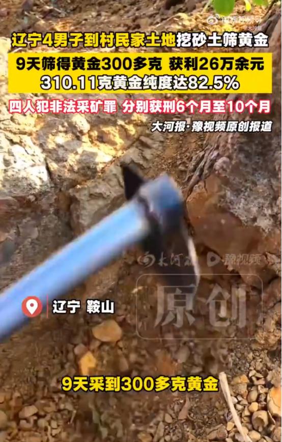 辽宁鞍山，4个男子合伙，在村里采挖砂土筛黄金。9天采金300多克，获利26万余元