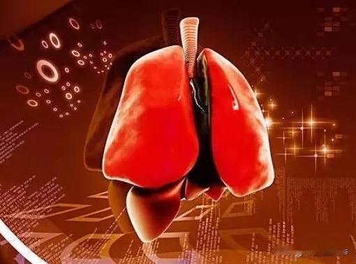 心火失眠、肺火咳嗽、肝火烦躁……五脏有火怎么办？
心火失眠
实火：心烦睡不好、口