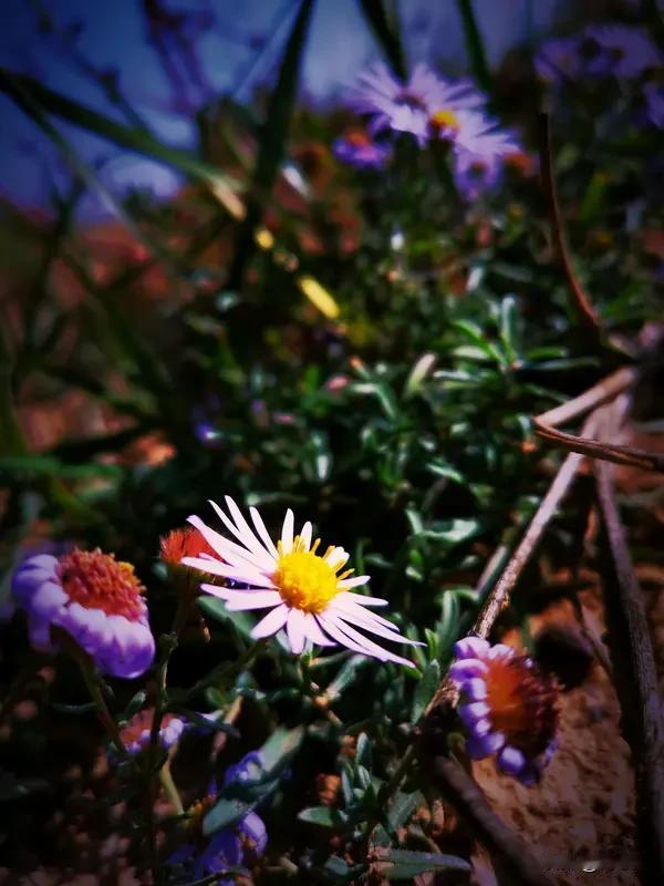 幸福没藏在大事里，它躲在日子的缝隙里

小区看门的孙大爷，七十多了，每天搬把竹椅