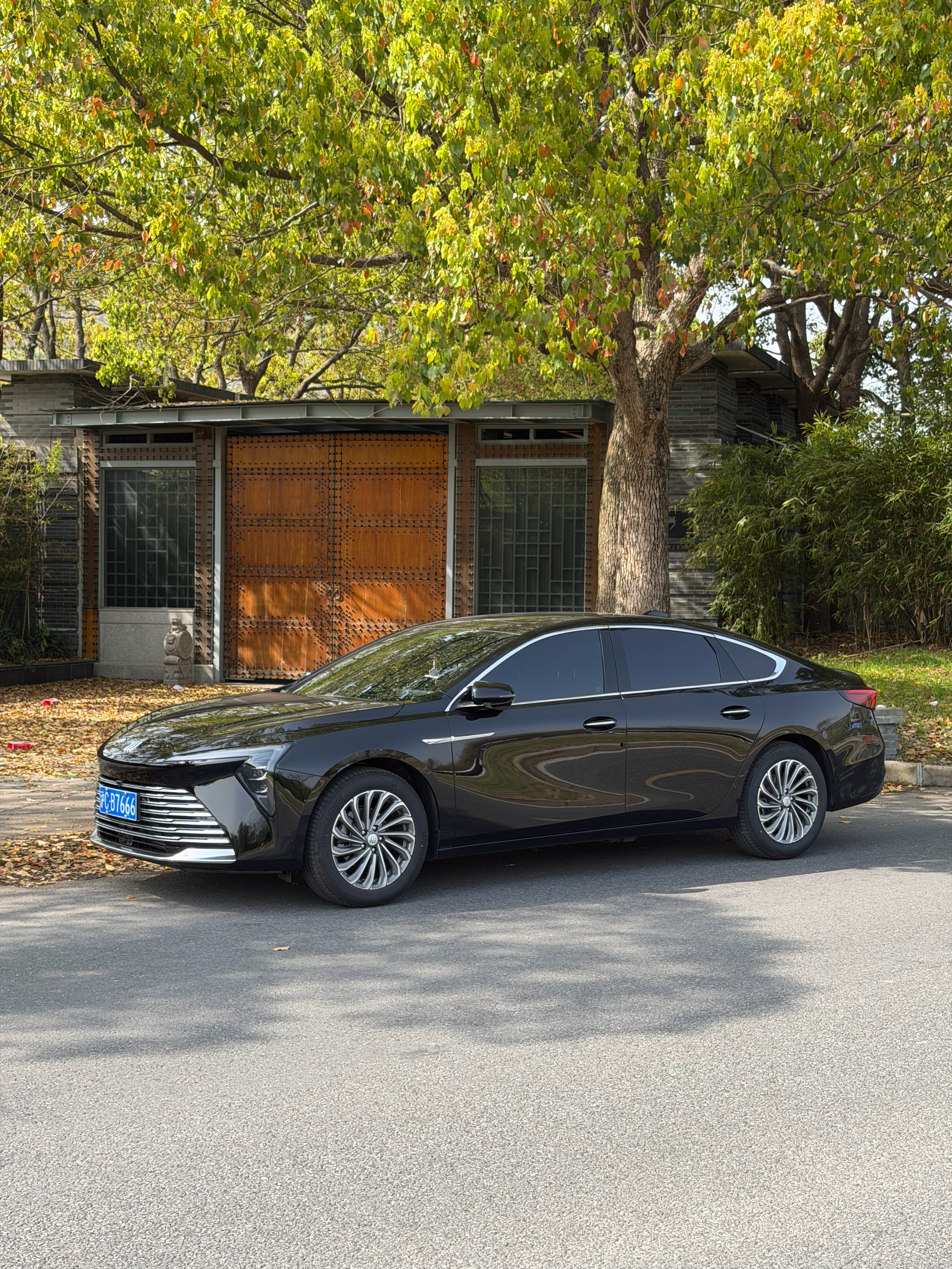 事实证明，只要天气好。别克拍起来也眉清目秀 上海·佘山国家森林公园