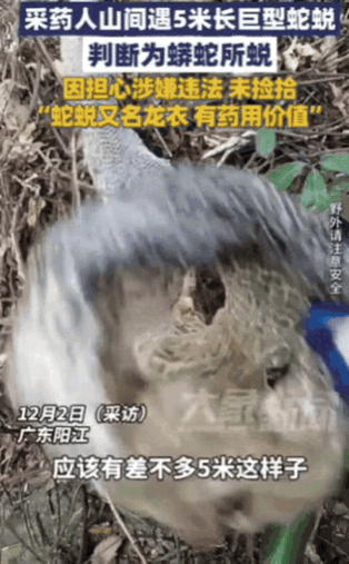 广东一男子上山采药，突然发现草丛里有动静，他看到白色的皮，以为是蛇！结果凑近一看