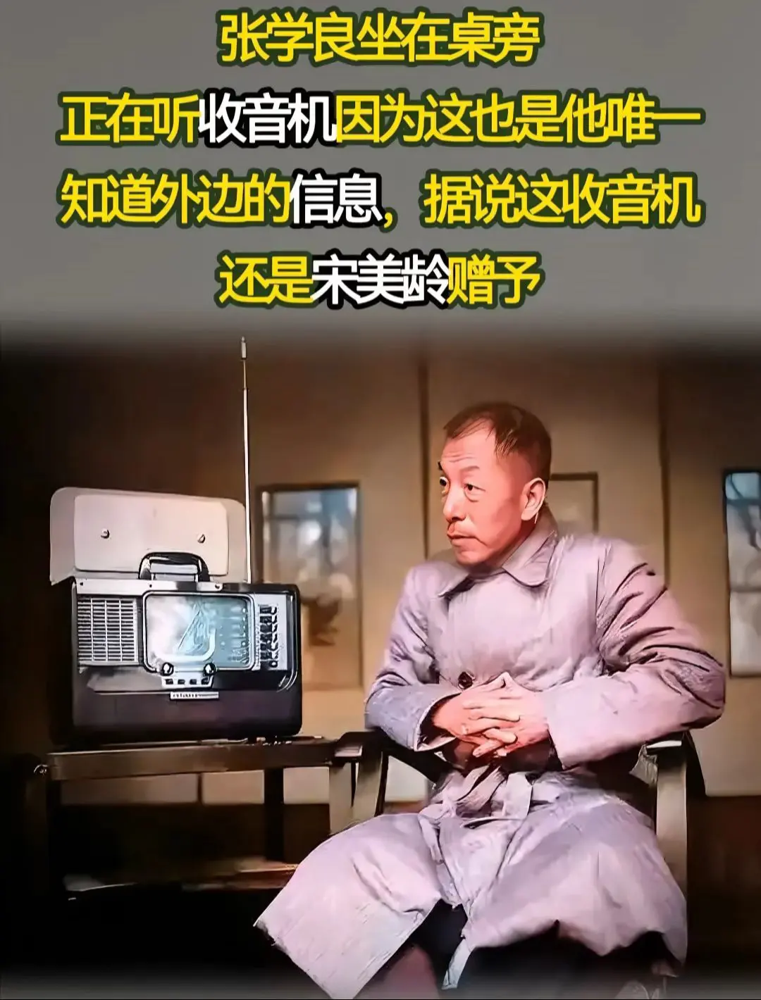 少帅张学良 历史