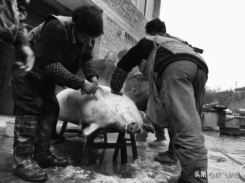 为什么农村的杀猪人寿命都很短? 农村杀猪人寿命普遍不长，这背后其实藏着不少“小秘
