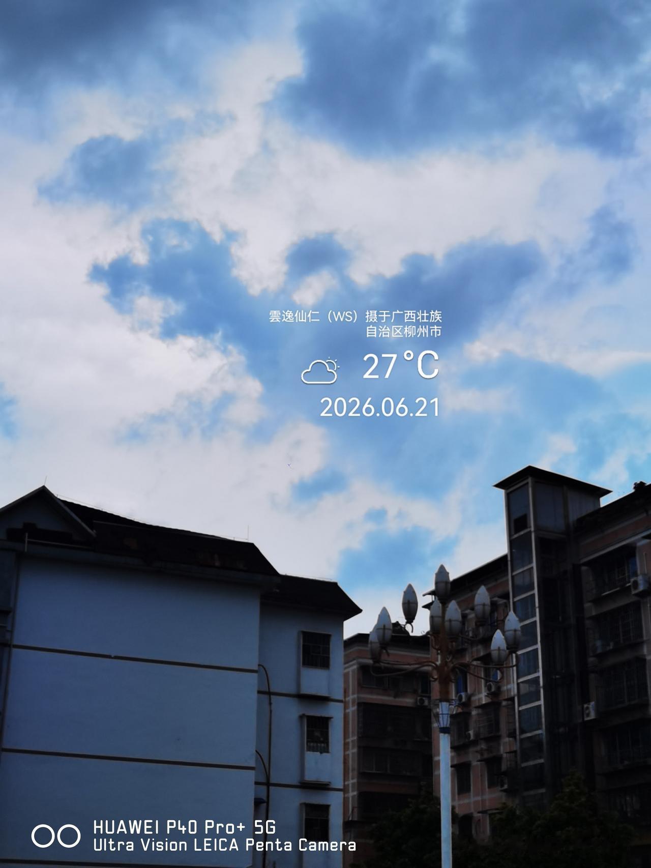月居生活记录（10224）广西壮族自治区柳州市（262）：大鸭背小鸭、长下巴、后