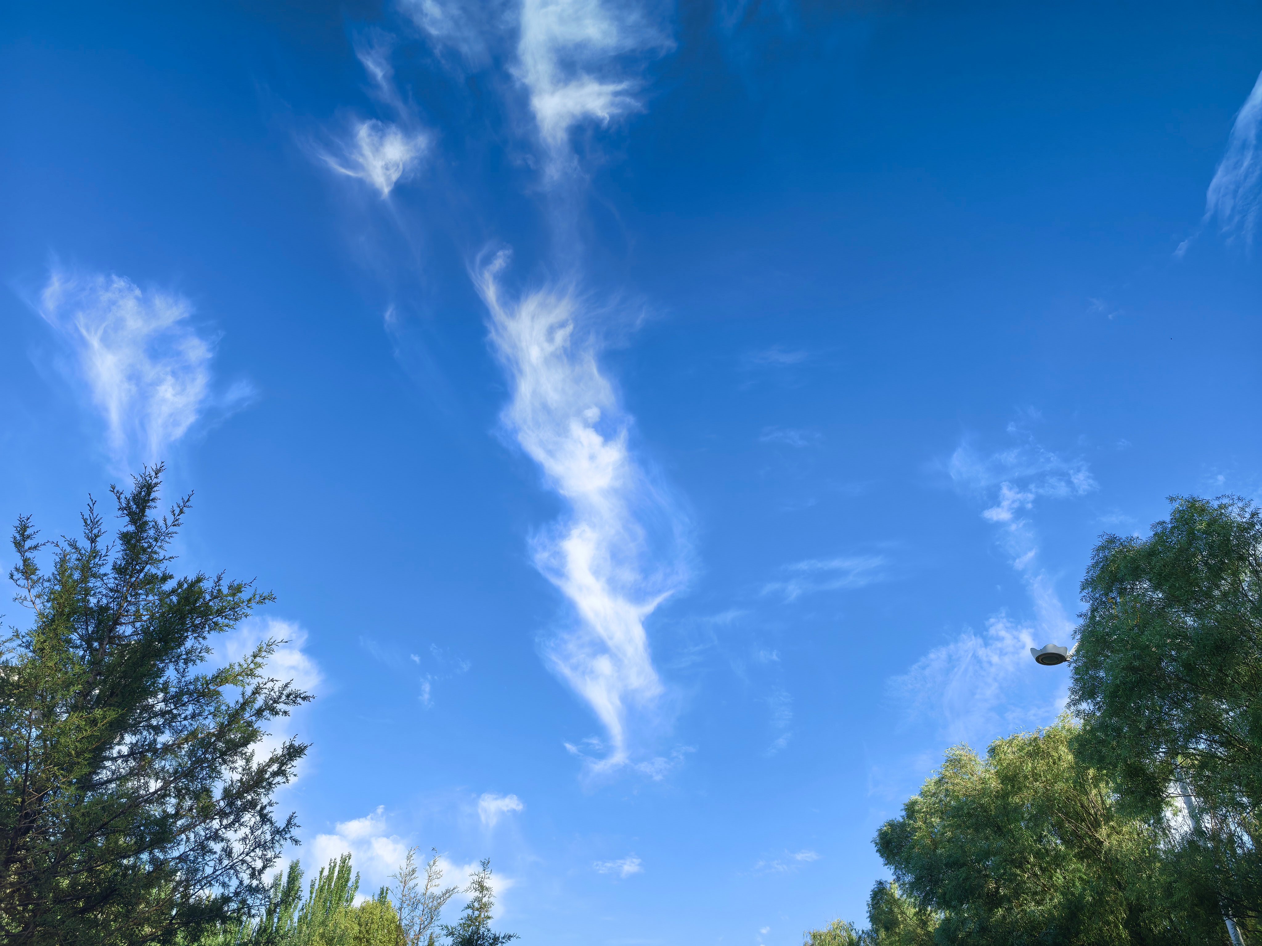 今早晴空万里，蓝天白云，这样的天空颜色真是太美了，看着天上飘着的云，心里都觉得格