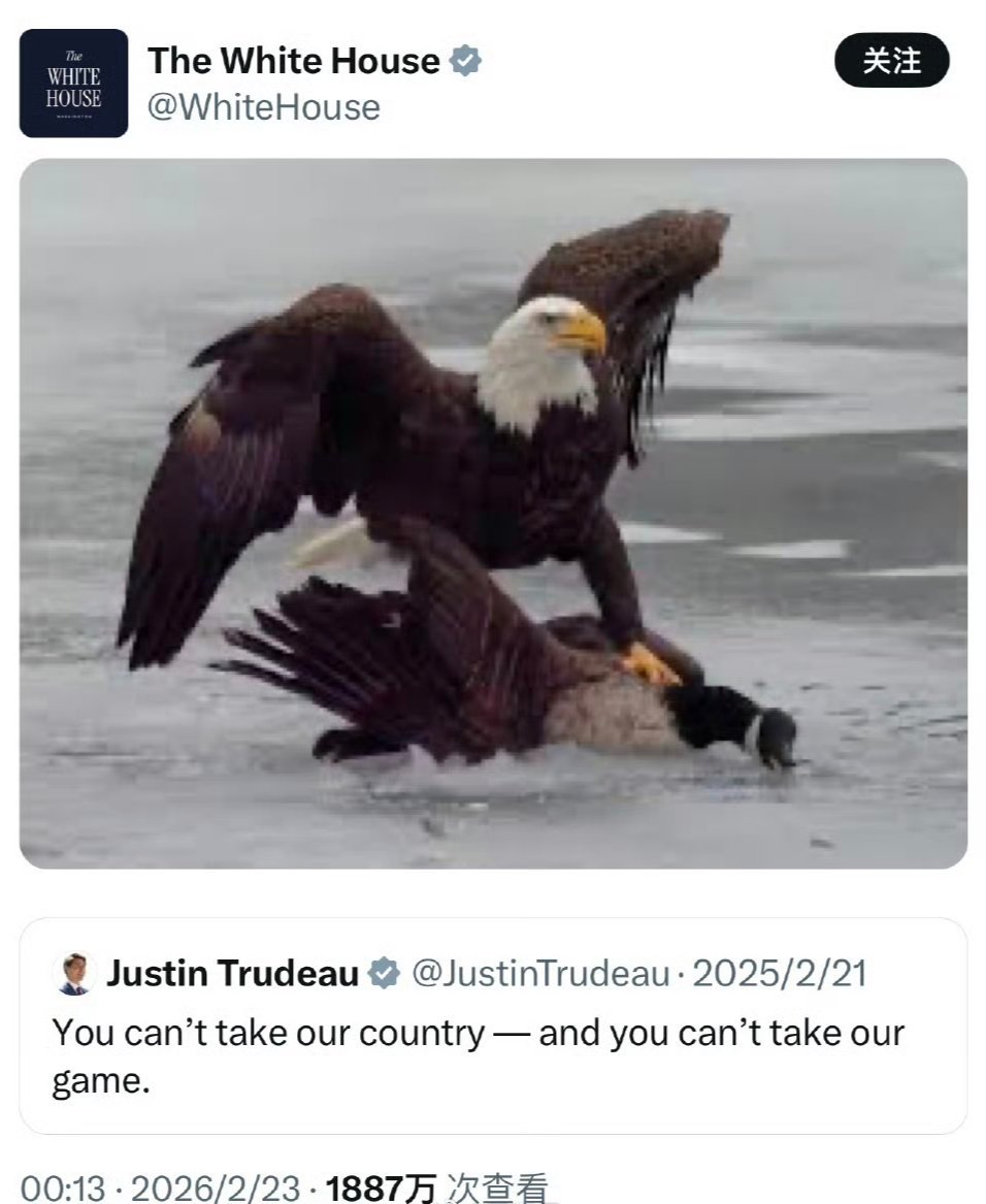 真这么猛吗？热点观点