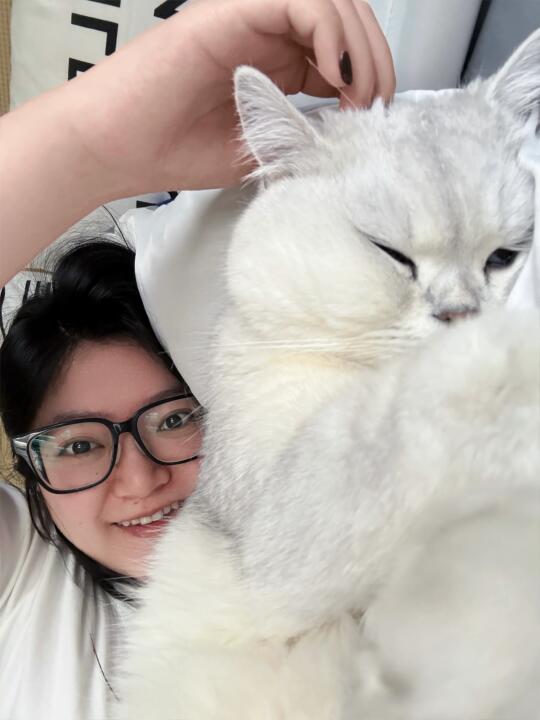 和小猫一起睡觉最幸福