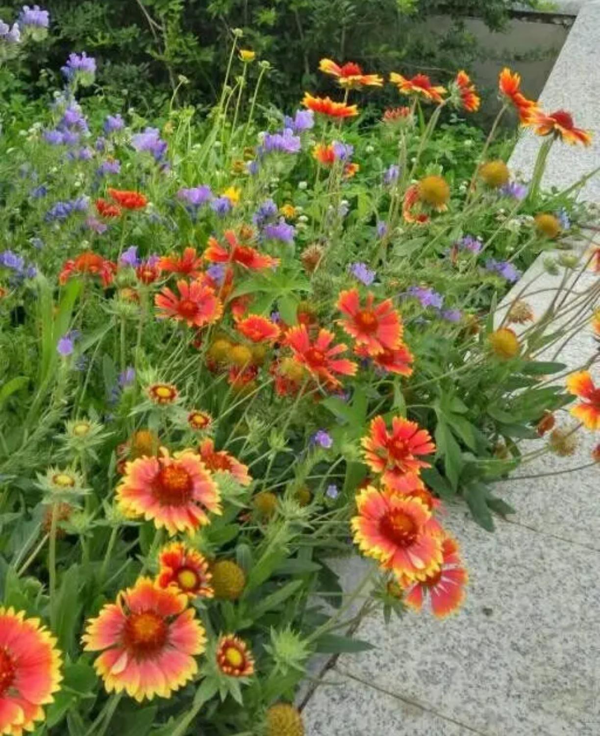 楼上一个邻居，40多岁，老婆长的跟刘亦菲有一拼，让人没想到的是，守着这么漂亮一个