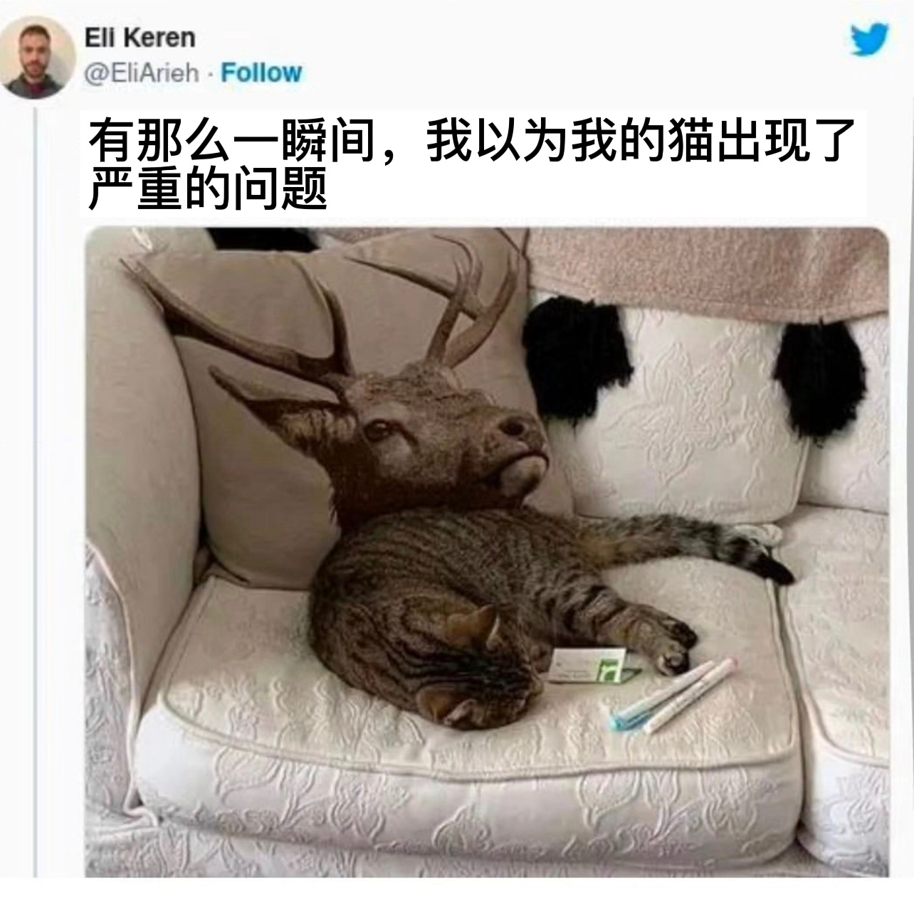 变异#今日memes# //#龙年造梗大赛# ​​​